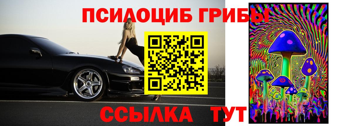 Псилоцибиновые грибы Cubensis  Вход с VPN  Чернушка 